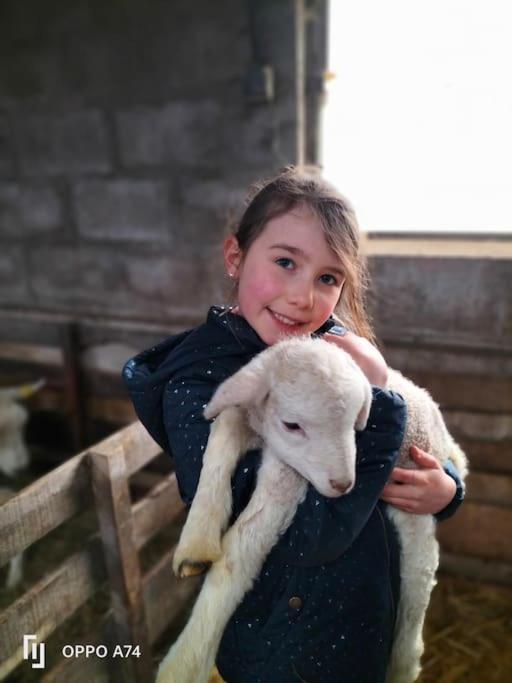 Gite La Dame Au Lit Gite A La Ferme Momignies المظهر الخارجي الصورة