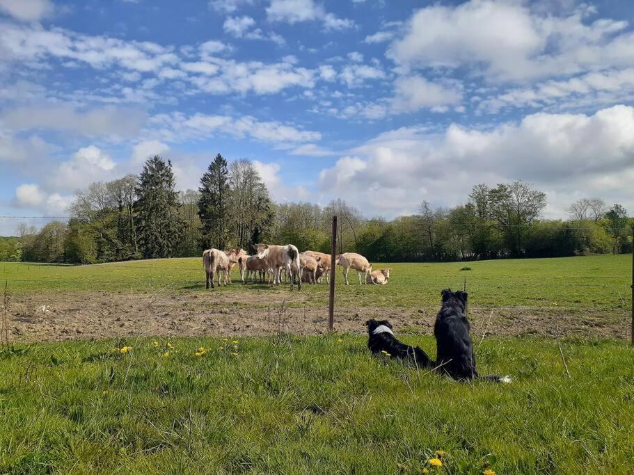 Gite La Dame Au Lit Gite A La Ferme Momignies المظهر الخارجي الصورة